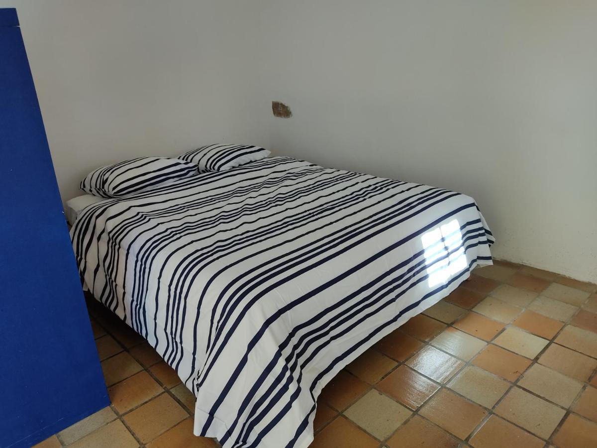 Petite Maison Du Manoir De Keryvoas Kerlouan المظهر الخارجي الصورة